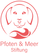 Logo: Pfoten & Meer Stiftung